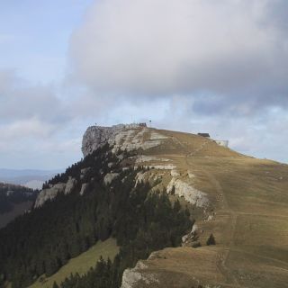 Loading...