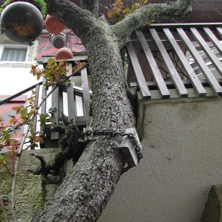 Loading...