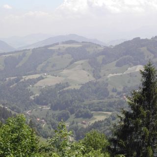 Loading...