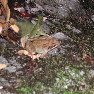 Loading...