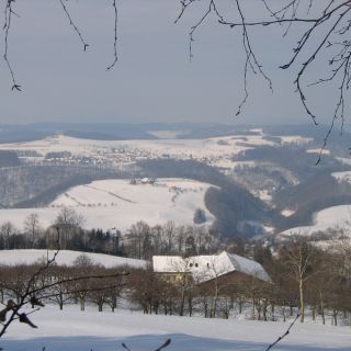 Loading...