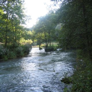 Loading...