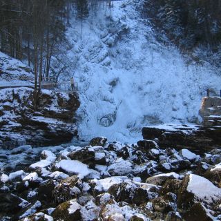 Loading...