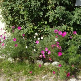 Loading...