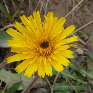 Loading...