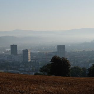 Loading...