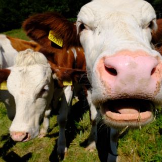 Loading...