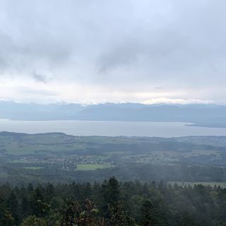Loading...