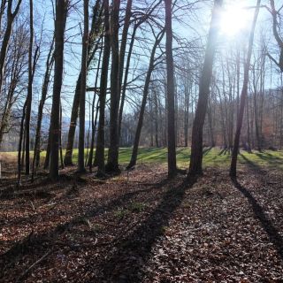 Loading...