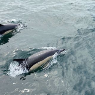 Loading...