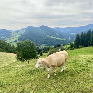 Loading...